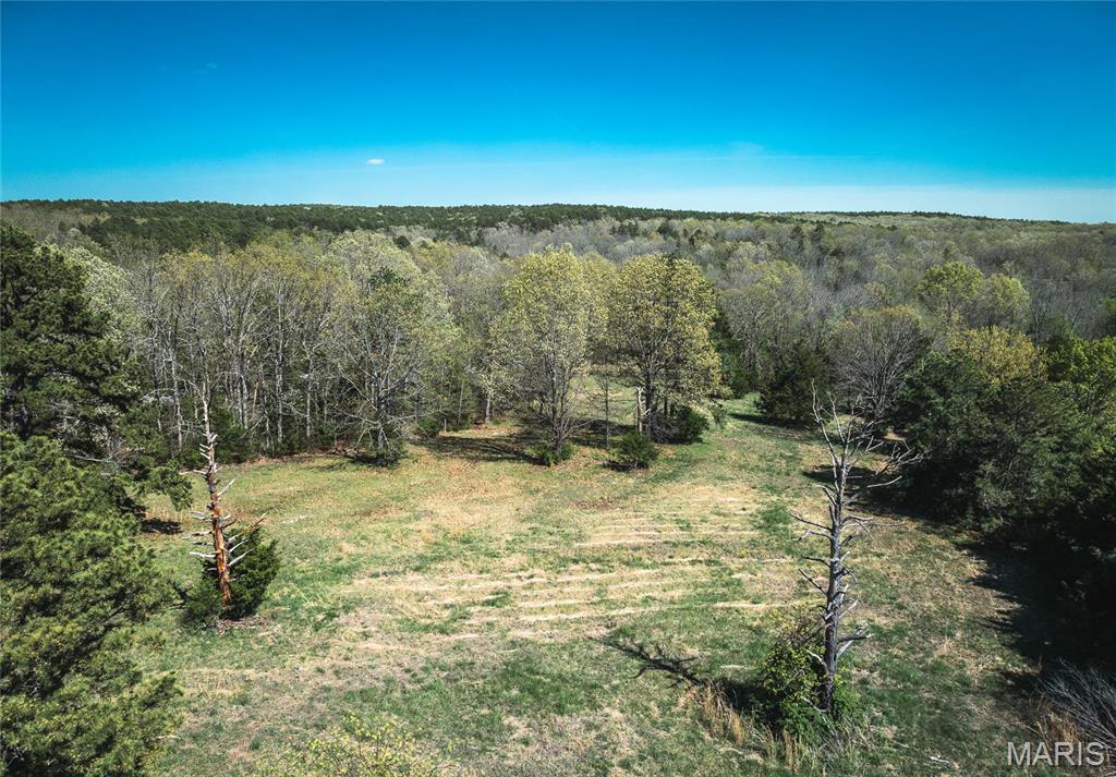 Photo 37 - Farm for sale – 0  Forest Service Road 1792   Beulah, MO