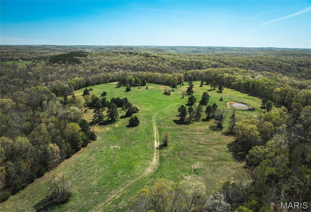 Photo 9 - Farm for sale – 0  Forest Service Road 1792   Beulah, MO