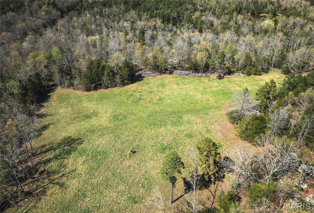 Photo 25 - Farm for sale – 0  Forest Service Road 1792   Beulah, MO