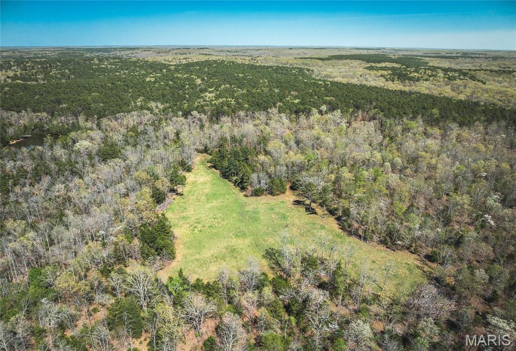 Photo 21 - Farm for sale – 0  Forest Service Road 1792   Beulah, MO