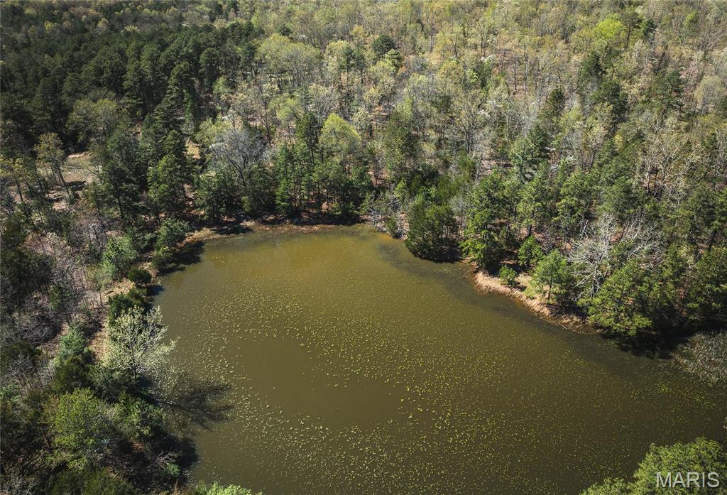 Photo 28 - Farm for sale – 0  Forest Service Road 1792   Beulah, MO