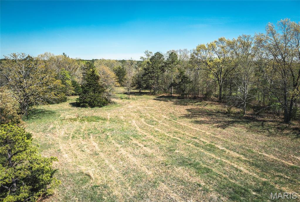 Photo 6 - Farm for sale – 0  Forest Service Road 1792   Beulah, MO