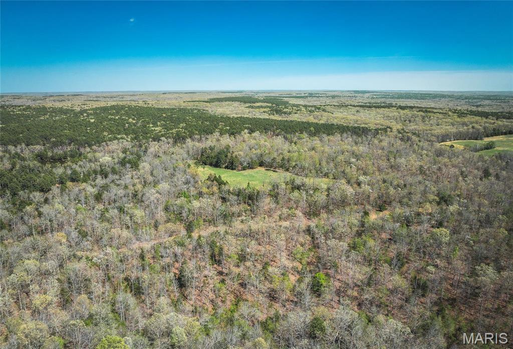 Photo 8 - Farm for sale – 0  Forest Service Road 1792   Beulah, MO
