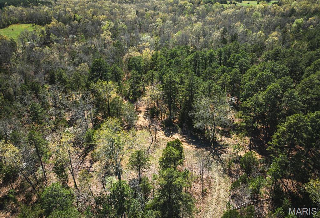 Photo 29 - Farm for sale – 0  Forest Service Road 1792   Beulah, MO