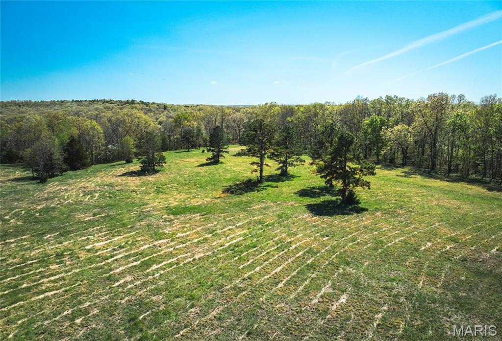 Photo 2 - Farm for sale – 0  Forest Service Road 1792   Beulah, MO