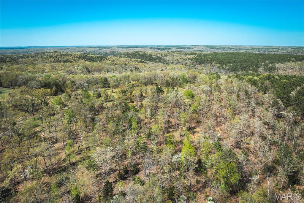 Photo 30 - Farm for sale – 0  Forest Service Road 1792   Beulah, MO