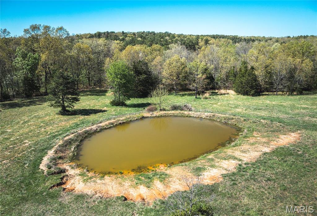 Photo 3 - Farm for sale – 0  Forest Service Road 1792   Beulah, MO
