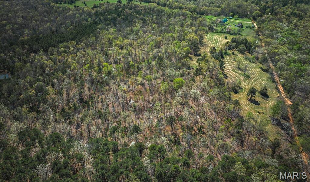 Photo 32 - Farm for sale – 0  Forest Service Road 1792   Beulah, MO