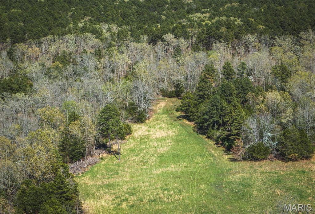 Photo 22 - Farm for sale – 0  Forest Service Road 1792   Beulah, MO