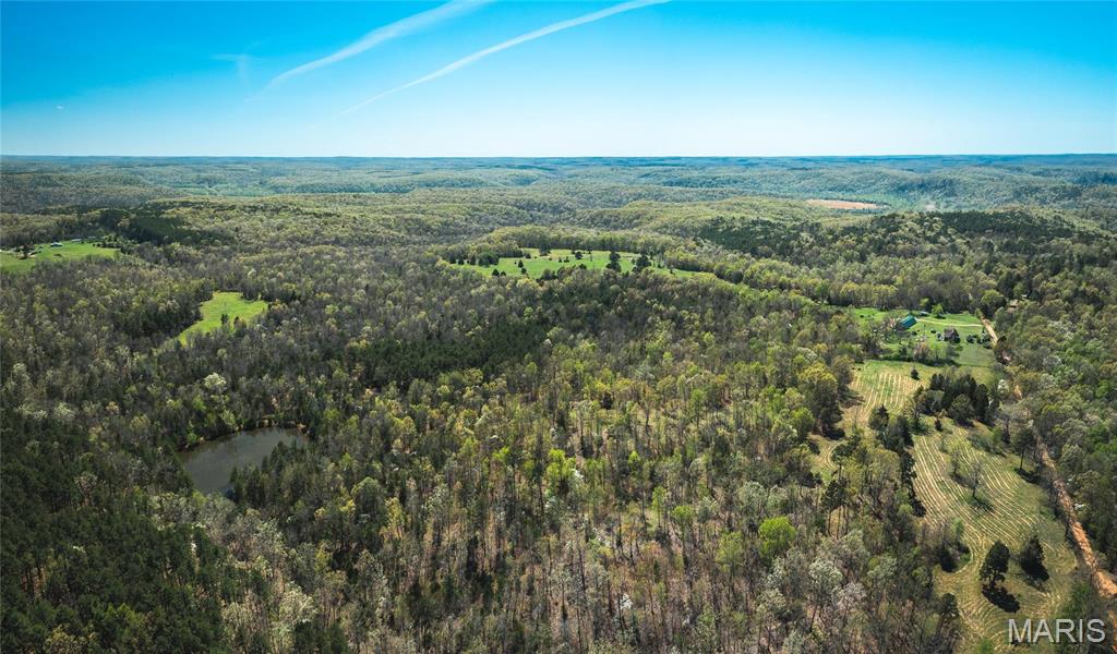 Photo 31 - Farm for sale – 0  Forest Service Road 1792   Beulah, MO