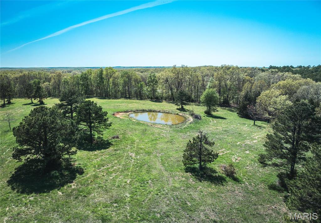 Photo 36 - Farm for sale – 0  Forest Service Road 1792   Beulah, MO