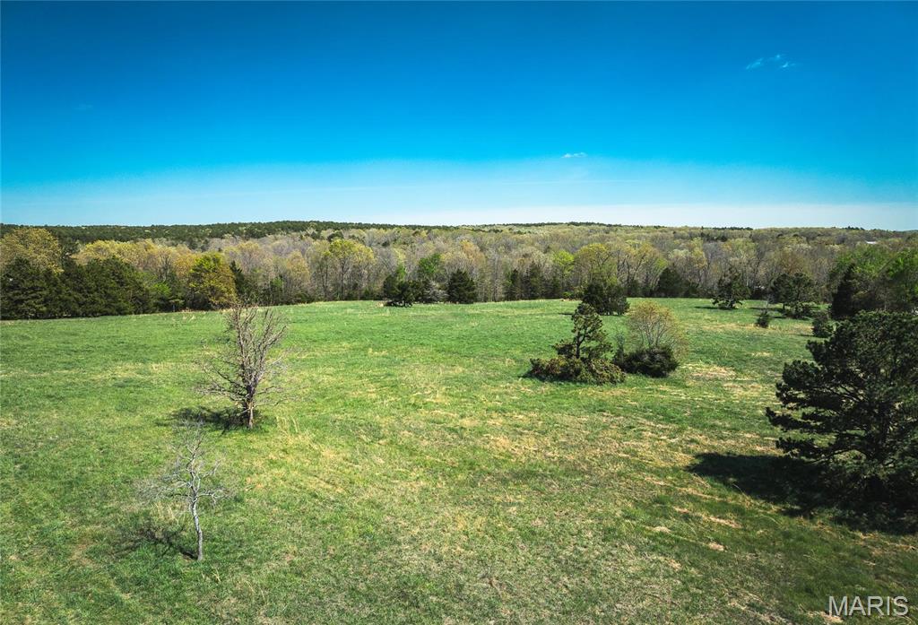 Photo 18 - Farm for sale – 0  Forest Service Road 1792   Beulah, MO