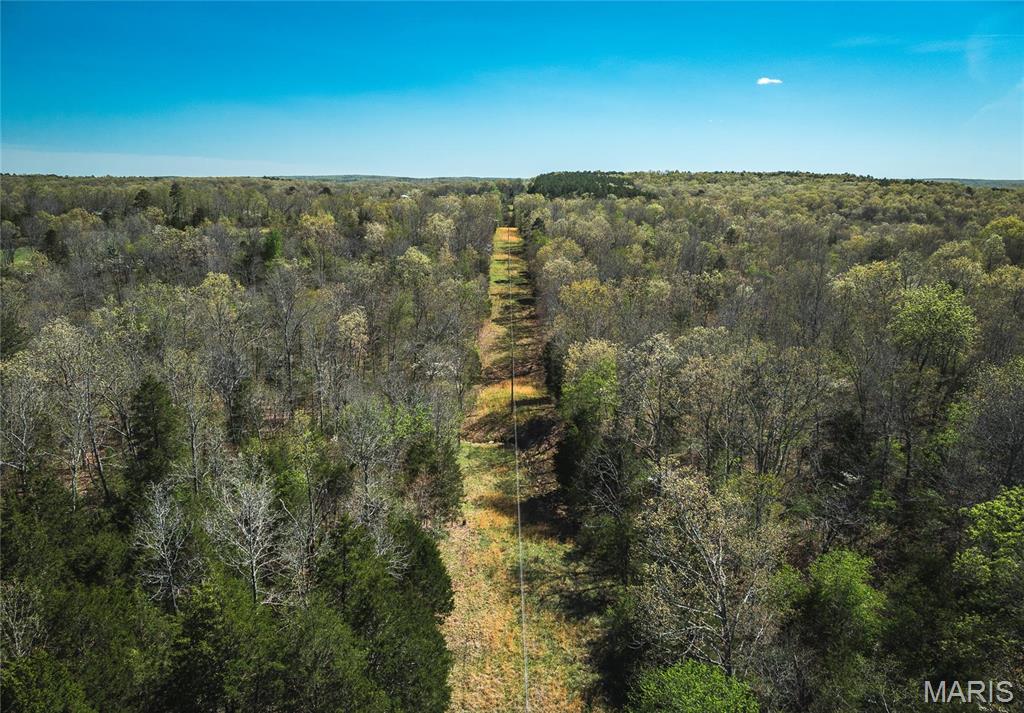 Photo 40 - Farm for sale – 0  Forest Service Road 1792   Beulah, MO