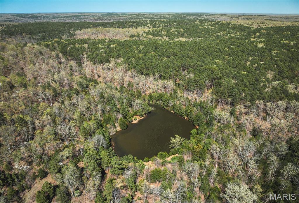 Photo 26 - Farm for sale – 0  Forest Service Road 1792   Beulah, MO