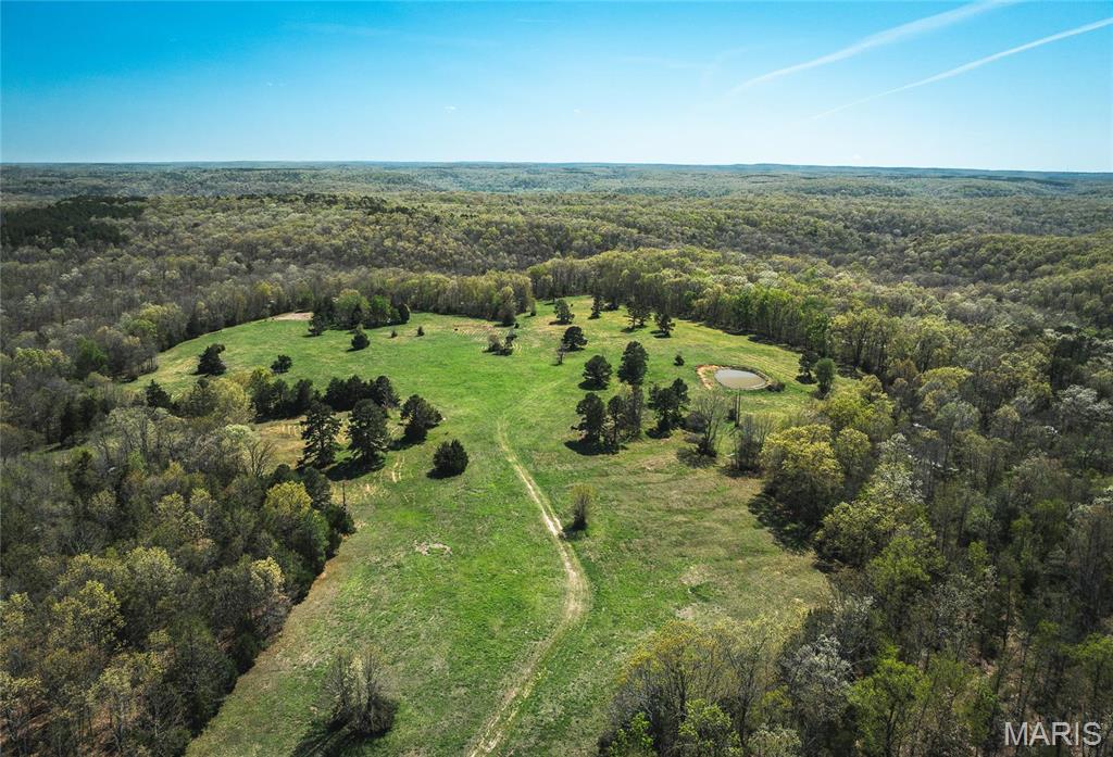 Photo 16 - Farm for sale – 0  Forest Service Road 1792   Beulah, MO