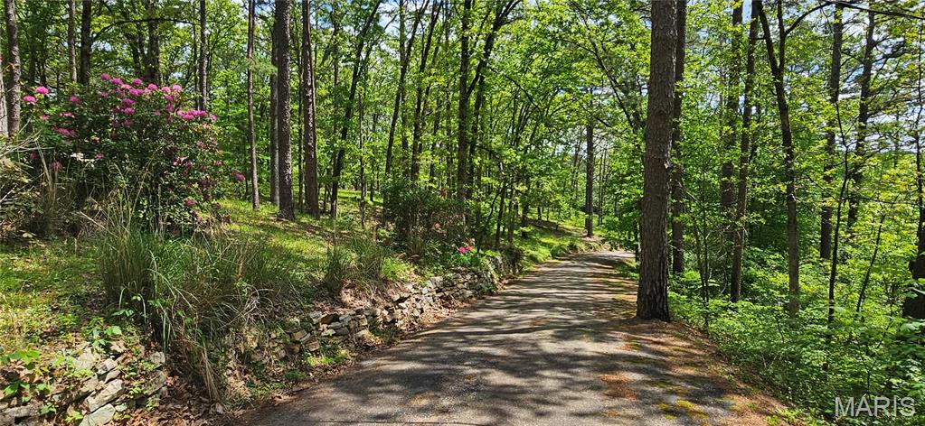 Residential for sale – 251  Rays Road  Ellington, MO
