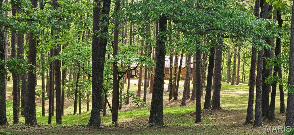 Residential for sale – 251  Rays Road  Ellington, MO