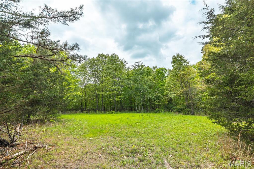 Photo 65 - Farm for sale – 20623 W Ashley Creek Road  Raymondville, MO