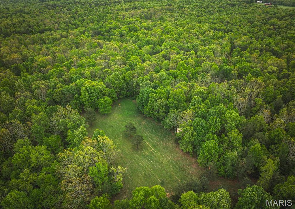 Photo 45 - Farm for sale – 20623 W Ashley Creek Road  Raymondville, MO