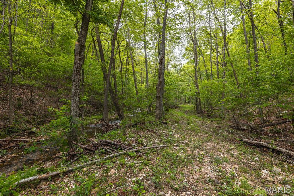 Photo 40 - Farm for sale – 20623 W Ashley Creek Road  Raymondville, MO