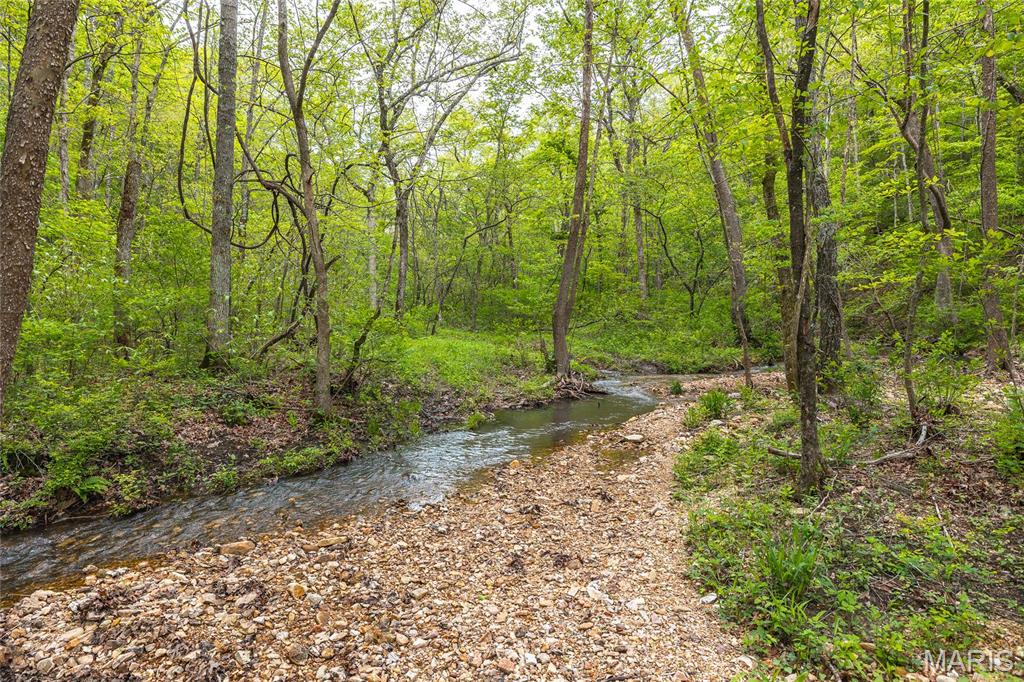 Photo 63 - Farm for sale – 20623 W Ashley Creek Road  Raymondville, MO