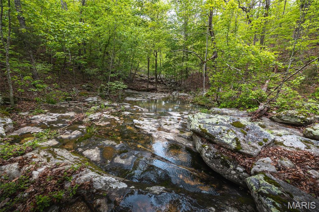 Photo 67 - Farm for sale – 20623 W Ashley Creek Road  Raymondville, MO