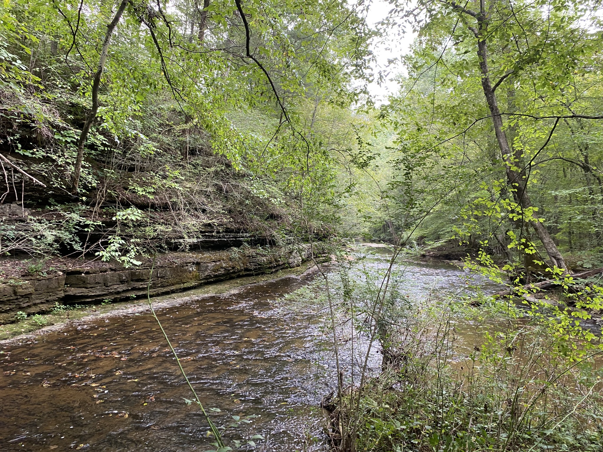 Listing 573354
