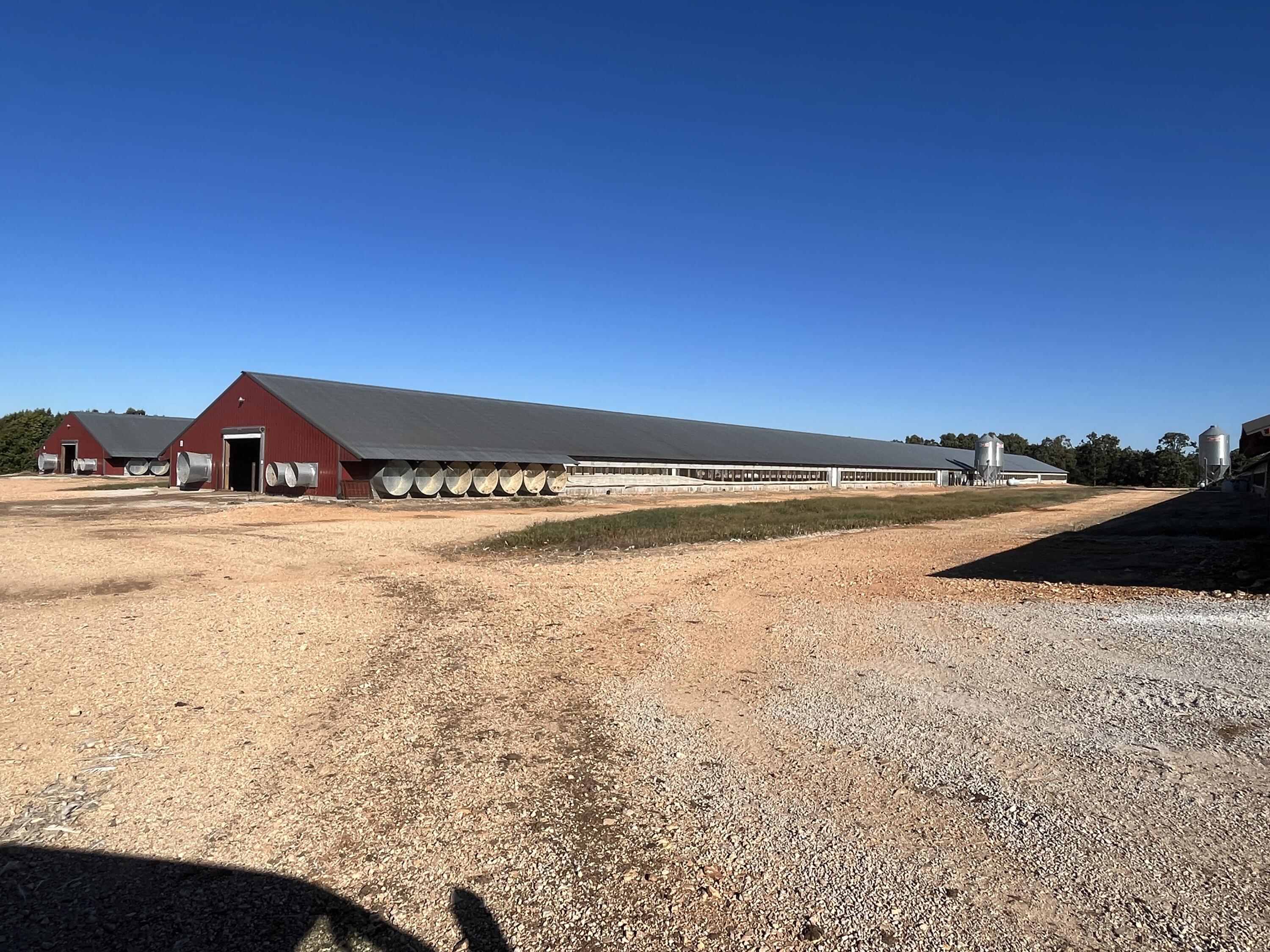 Photo 10 - Farm for sale – 13200  Lawrence 2022   Miller, MO