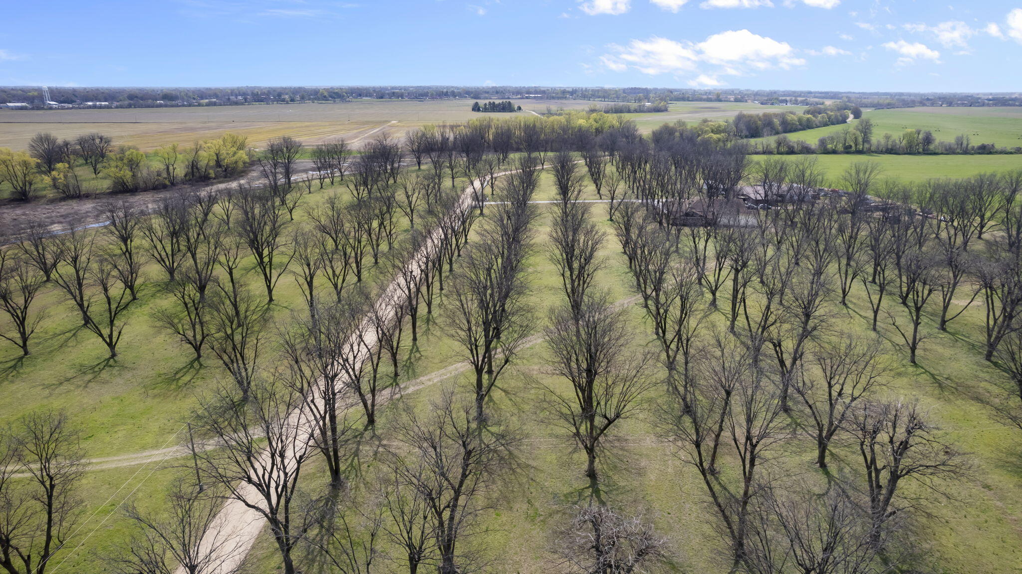 Photo 102 - Farm for sale – 18465  County Road 405   Kennett, MO