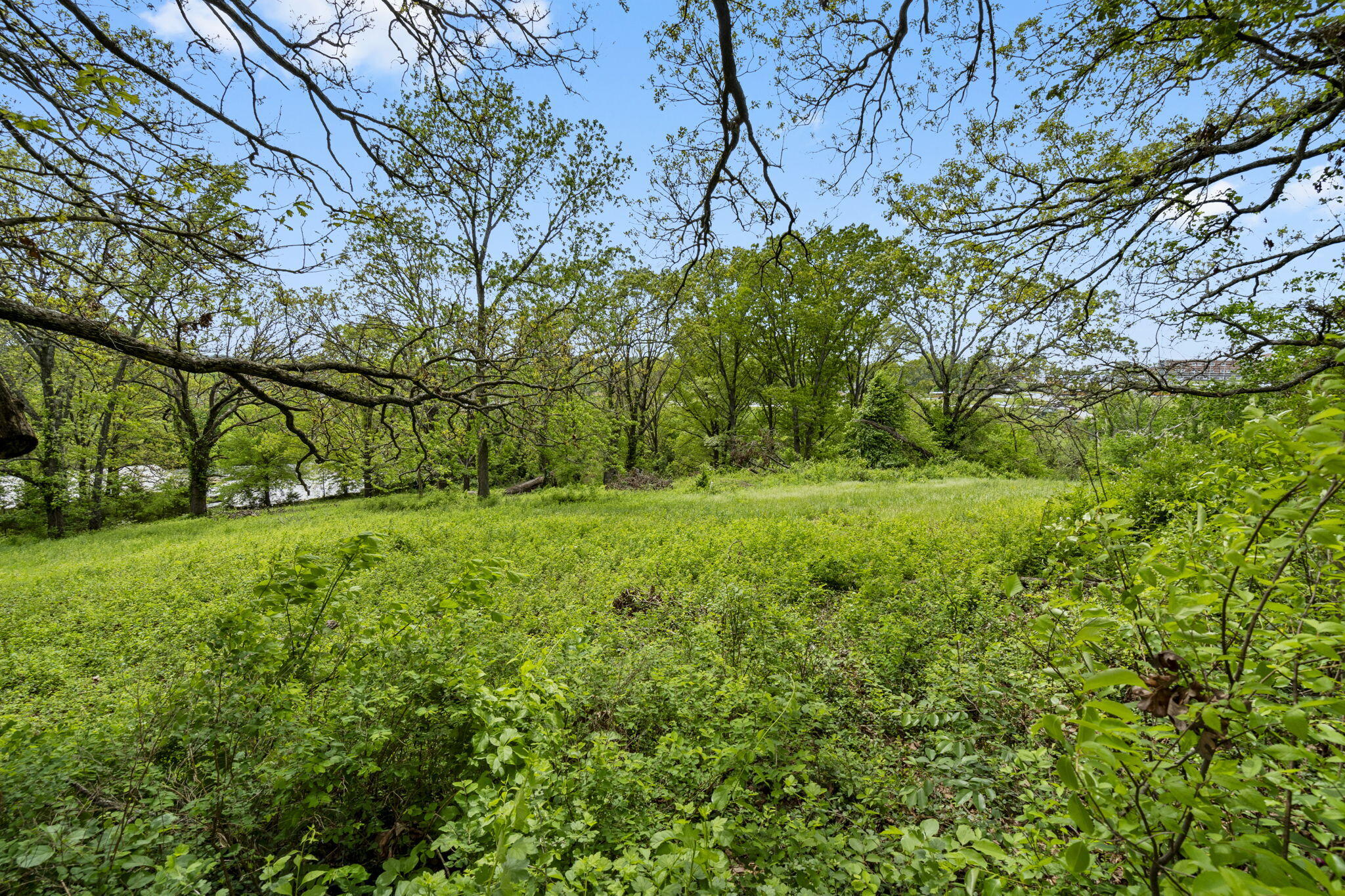 Photo 9 - Land for sale – 809 N 9th Street  Ozark, MO