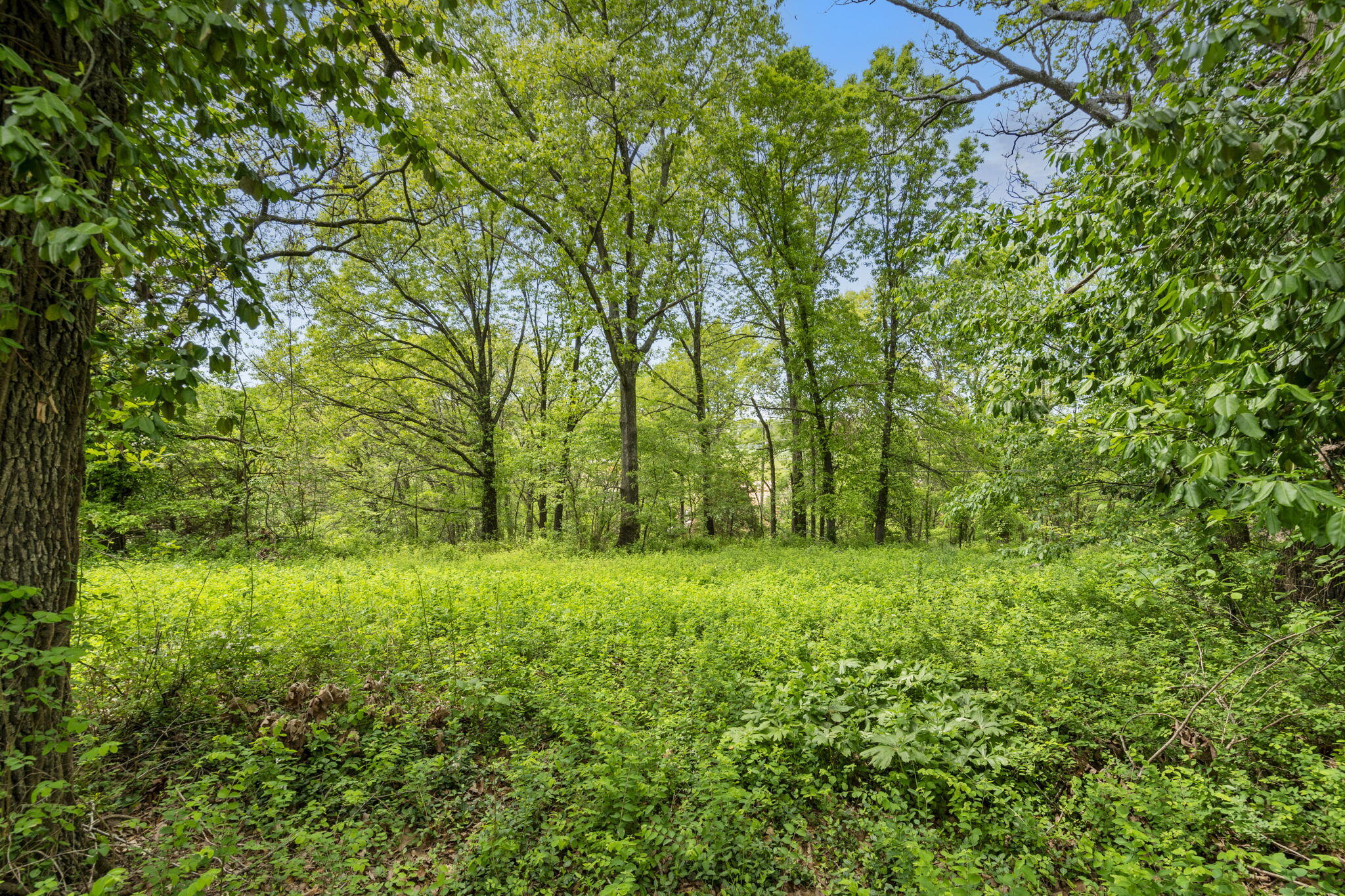 Photo 12 - Land for sale – 809 N 9th Street  Ozark, MO