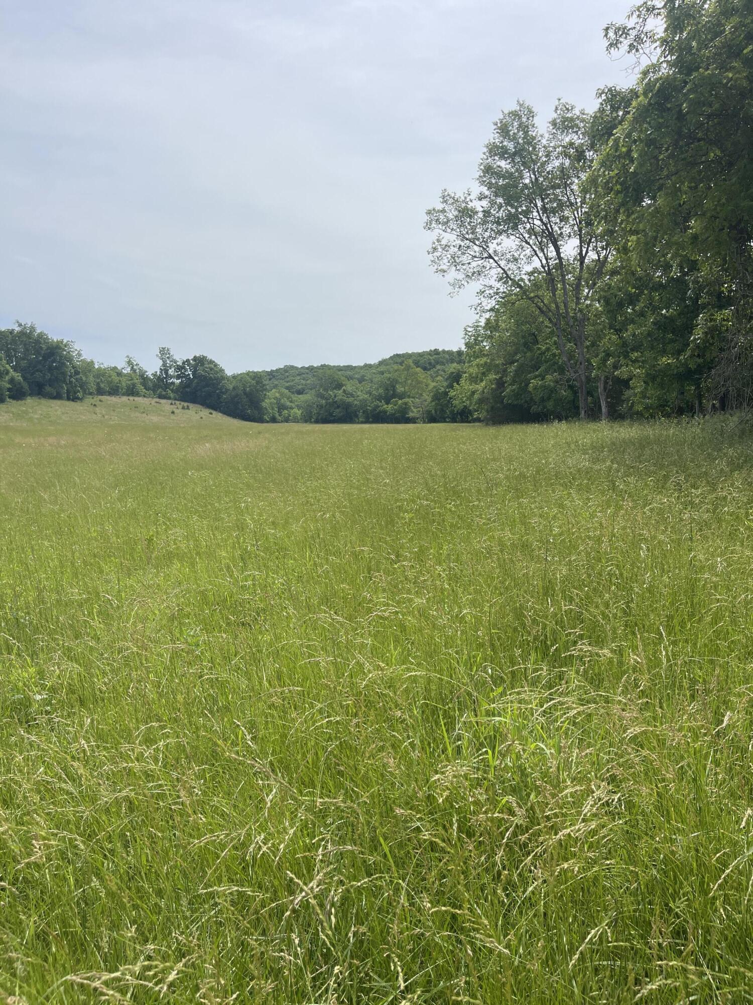 Photo 10 - Farm for sale – 000  Hc 66   Sparta, MO