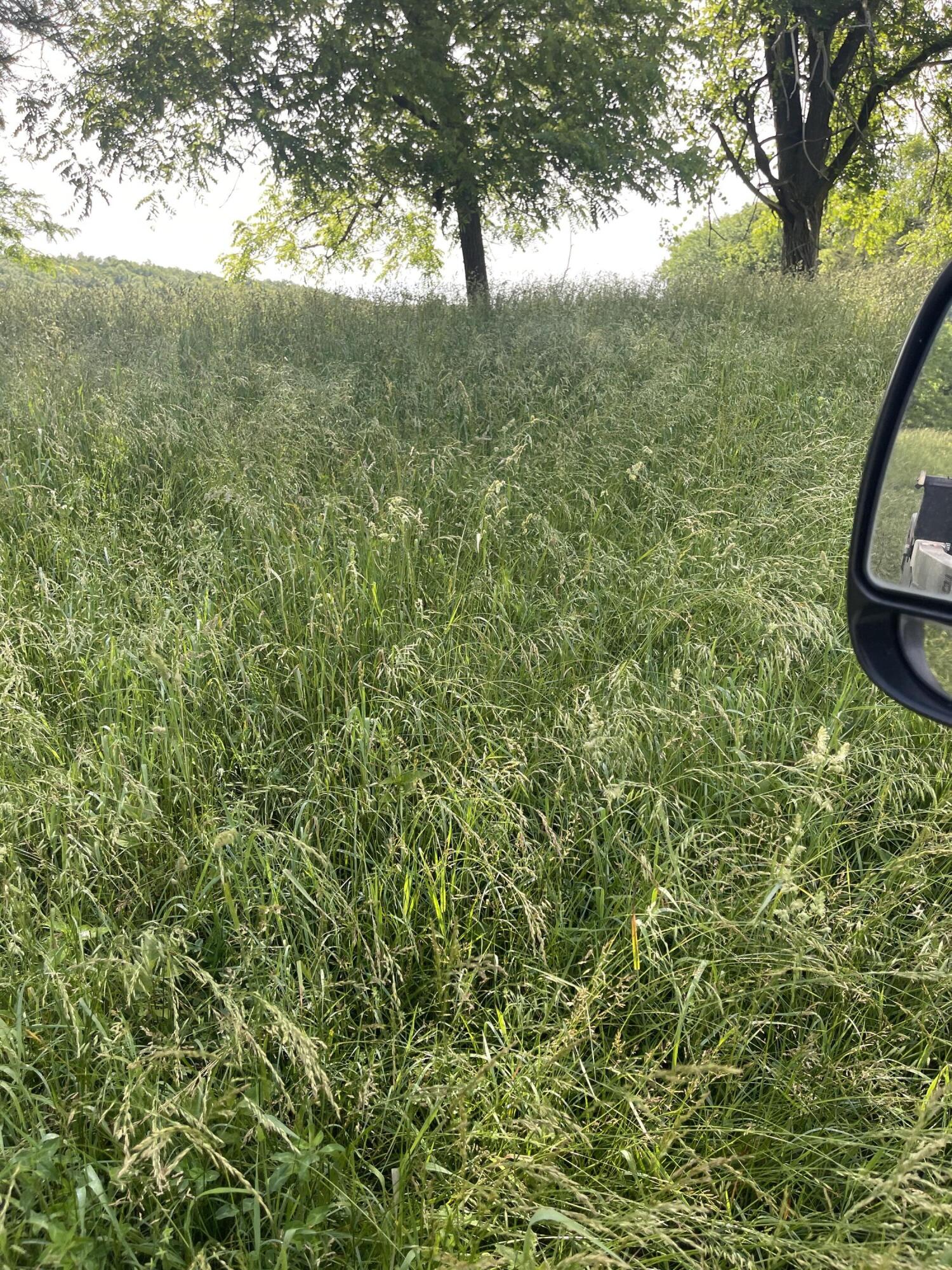Photo 35 - Farm for sale – 000  Hc 66   Sparta, MO