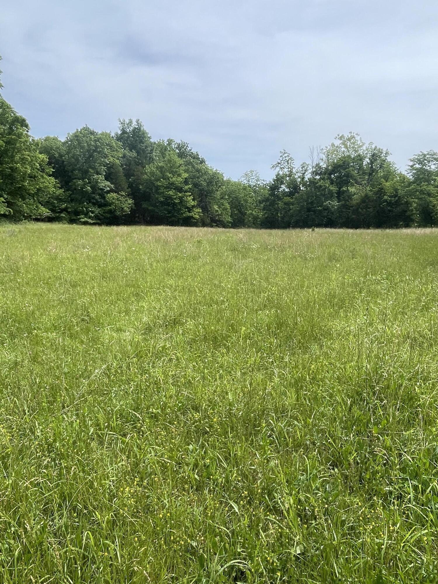 Photo 5 - Farm for sale – 000  Hc 66   Sparta, MO
