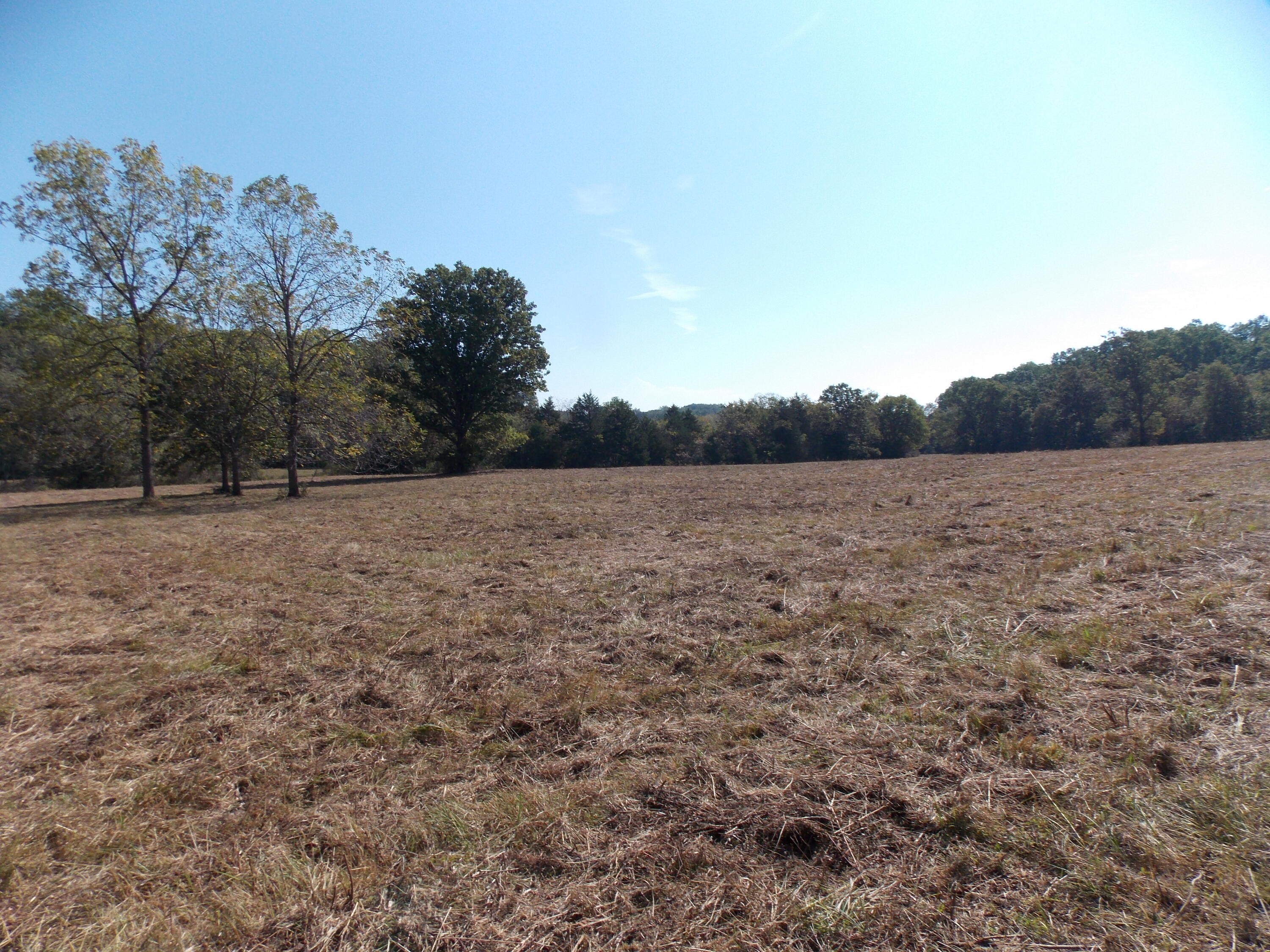 Photo 6 - Land for sale – 12879  Hwy O   Ava, MO