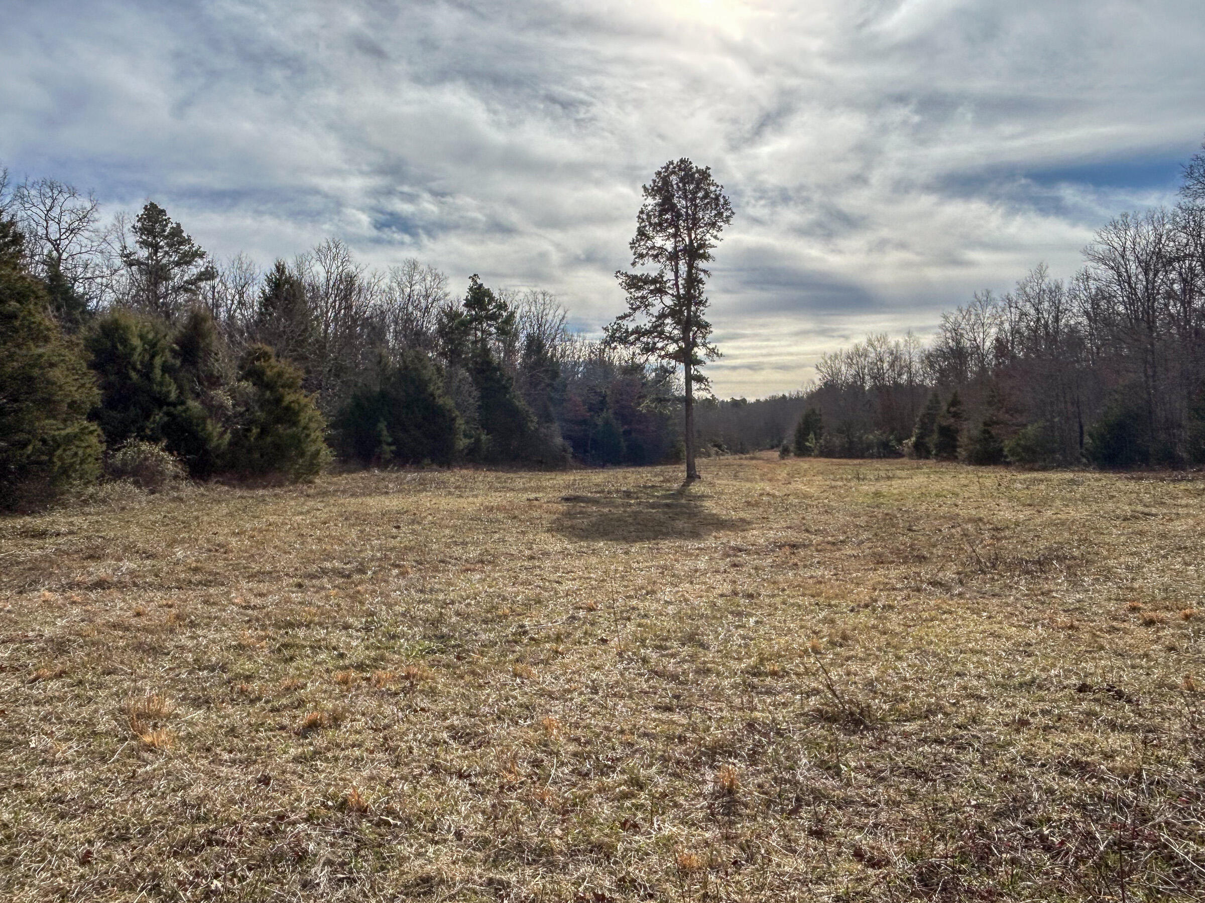 Photo 37 - Farm for sale – 8969  County Road 445   Winona, MO
