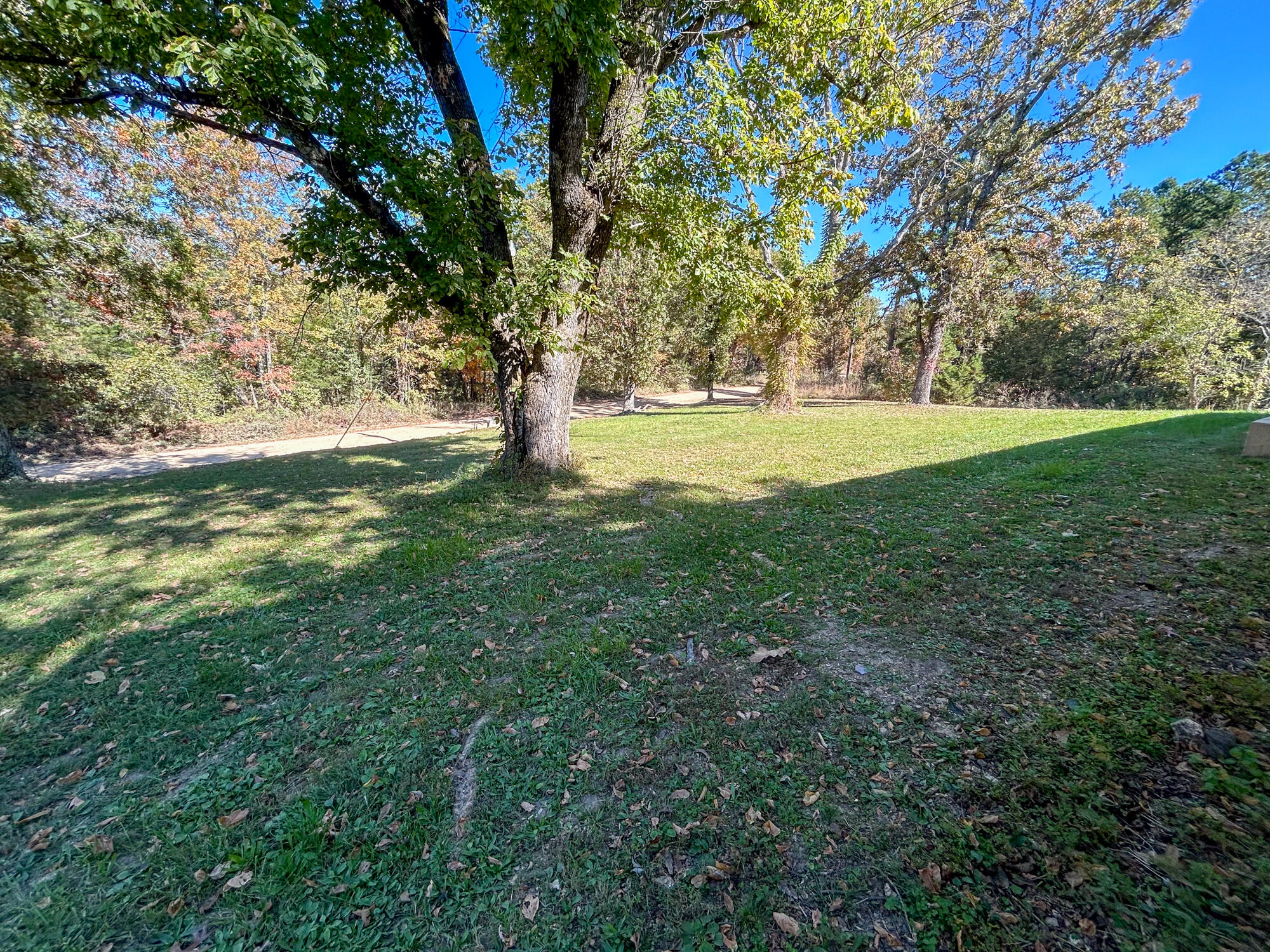 Photo 50 - Farm for sale – 8969  County Road 445   Winona, MO