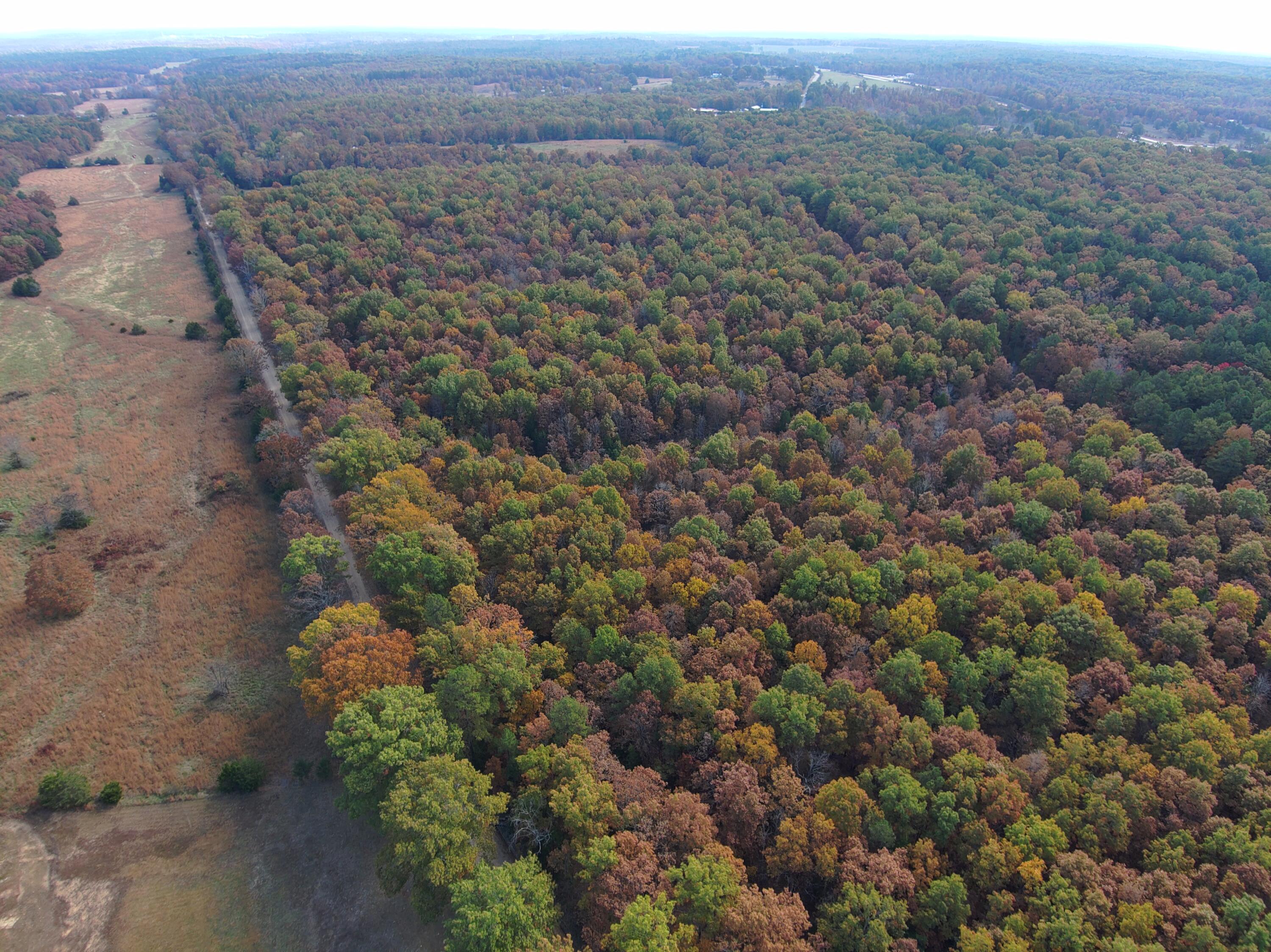 Photo 53 - Farm for sale – 8969  County Road 445   Winona, MO
