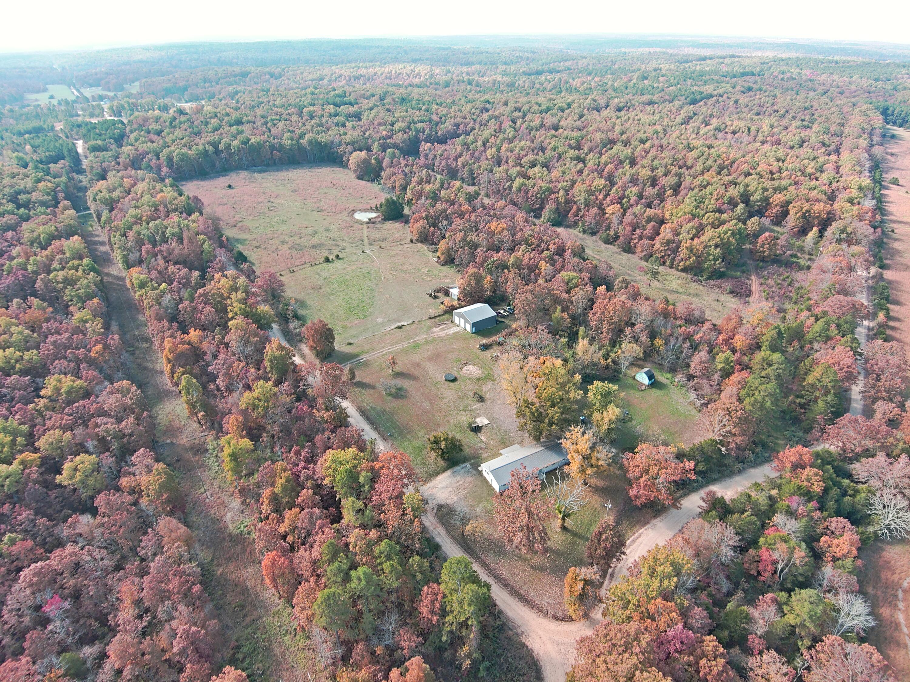 Photo 10 - Farm for sale – 8969  County Road 445   Winona, MO