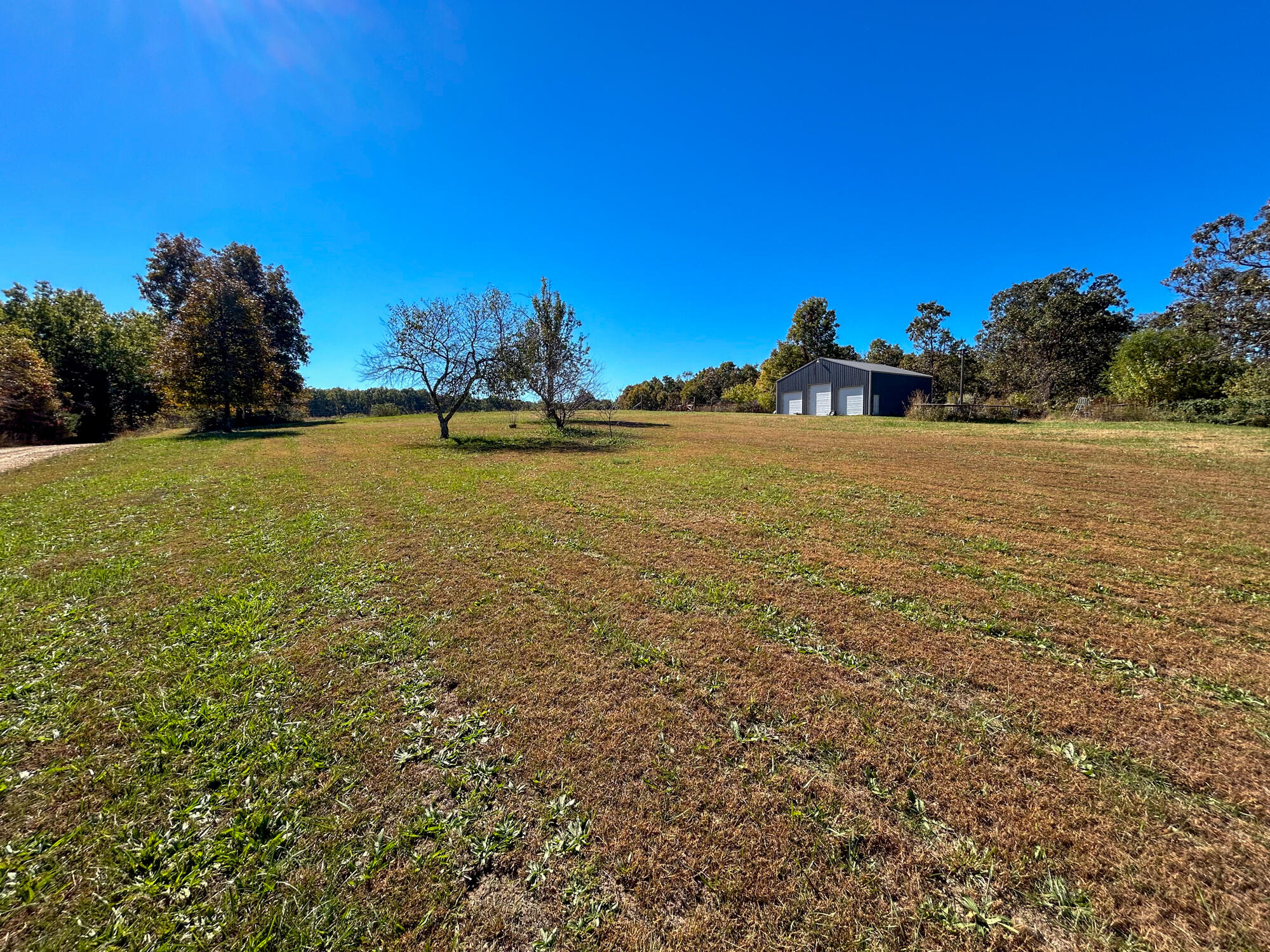 Photo 27 - Farm for sale – 8969  County Road 445   Winona, MO