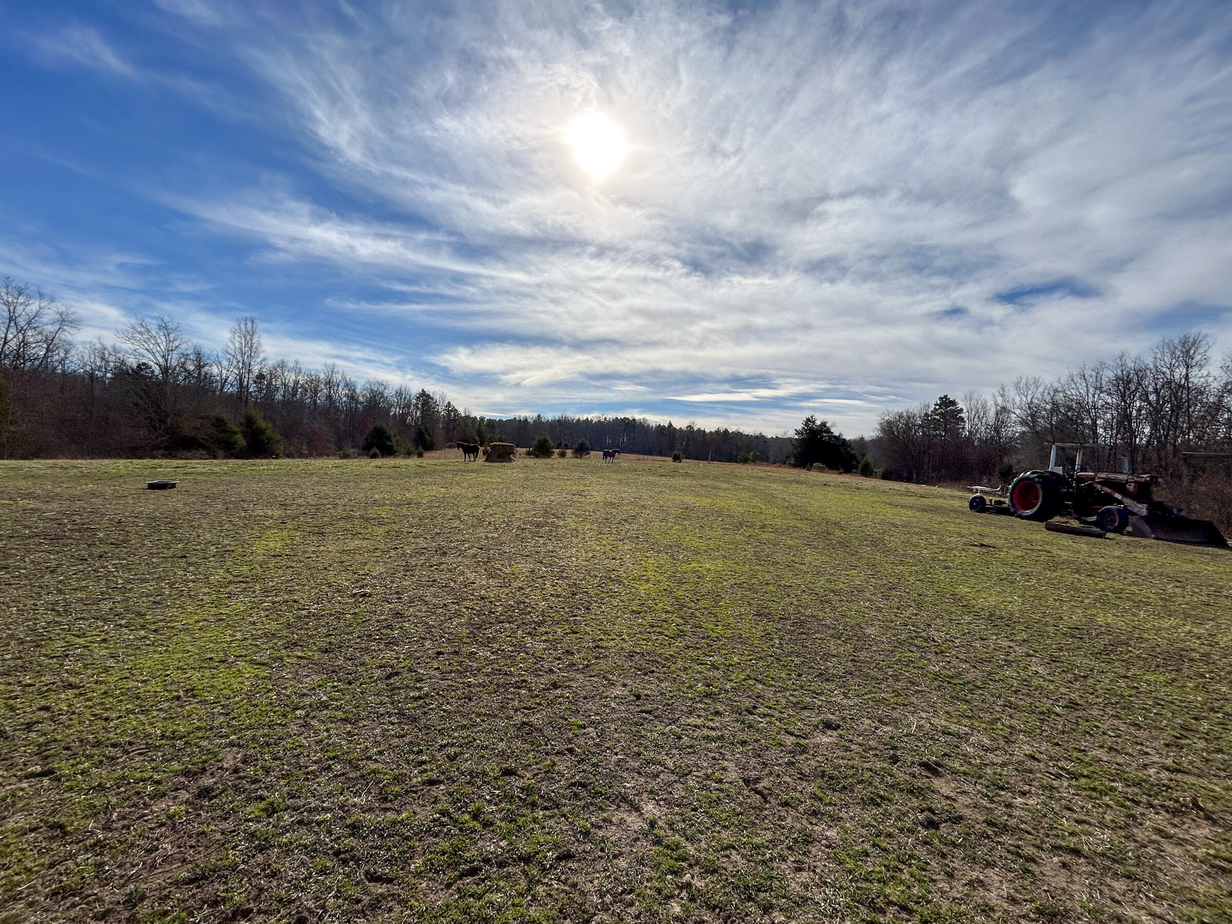 Photo 38 - Farm for sale – 8969  County Road 445   Winona, MO