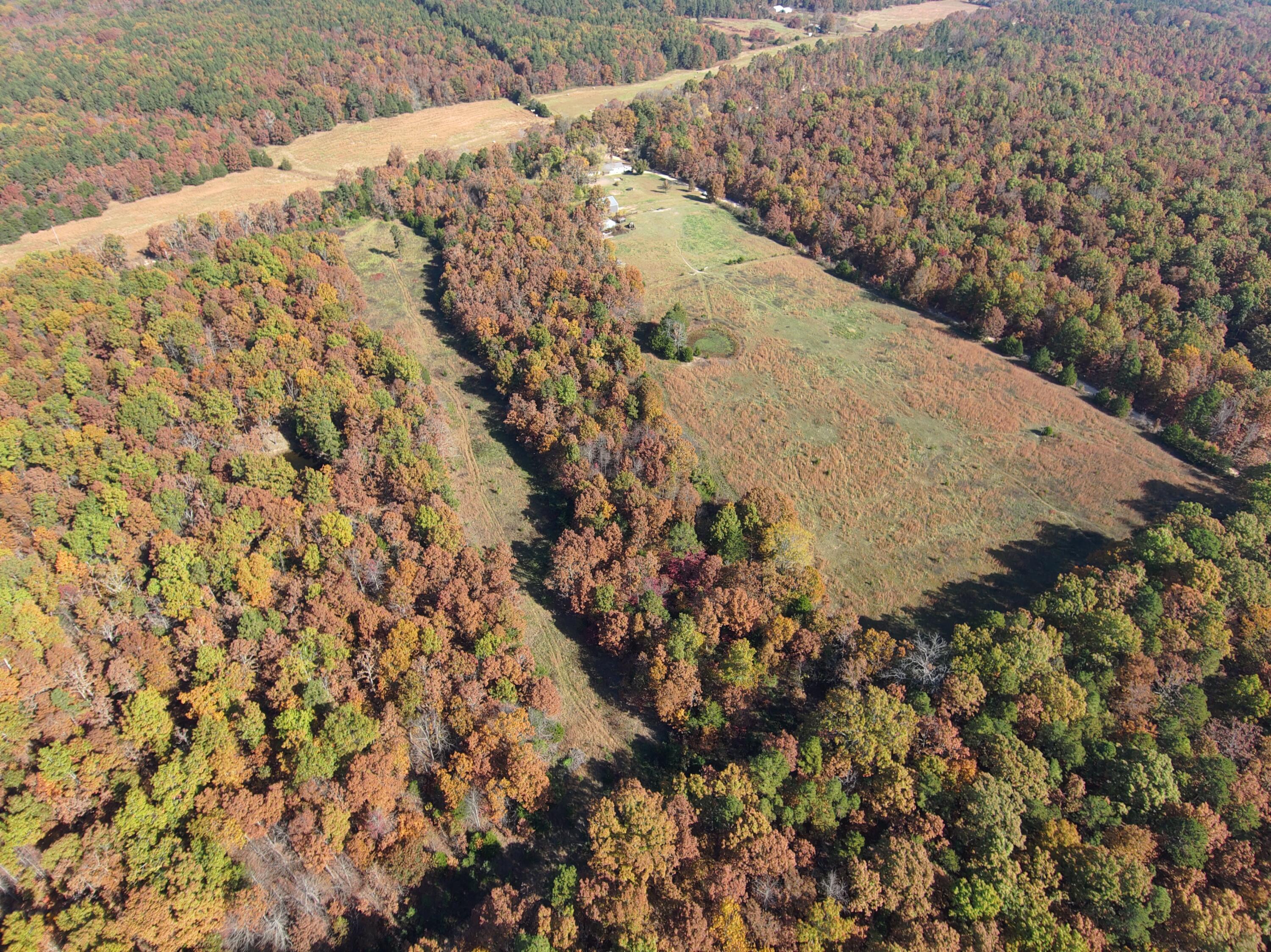 Photo 3 - Farm for sale – 8969  County Road 445   Winona, MO