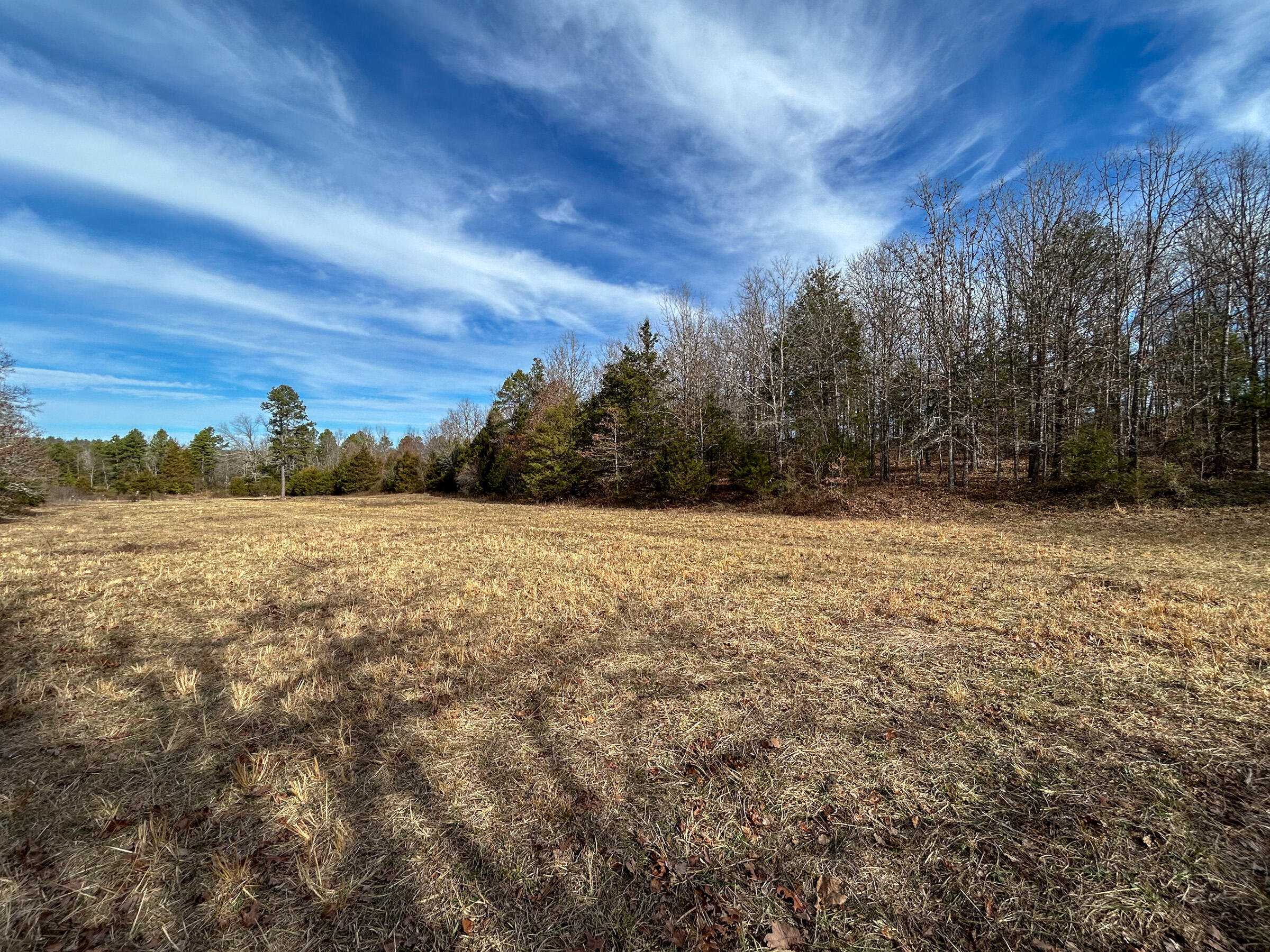 Photo 39 - Farm for sale – 8969  County Road 445   Winona, MO