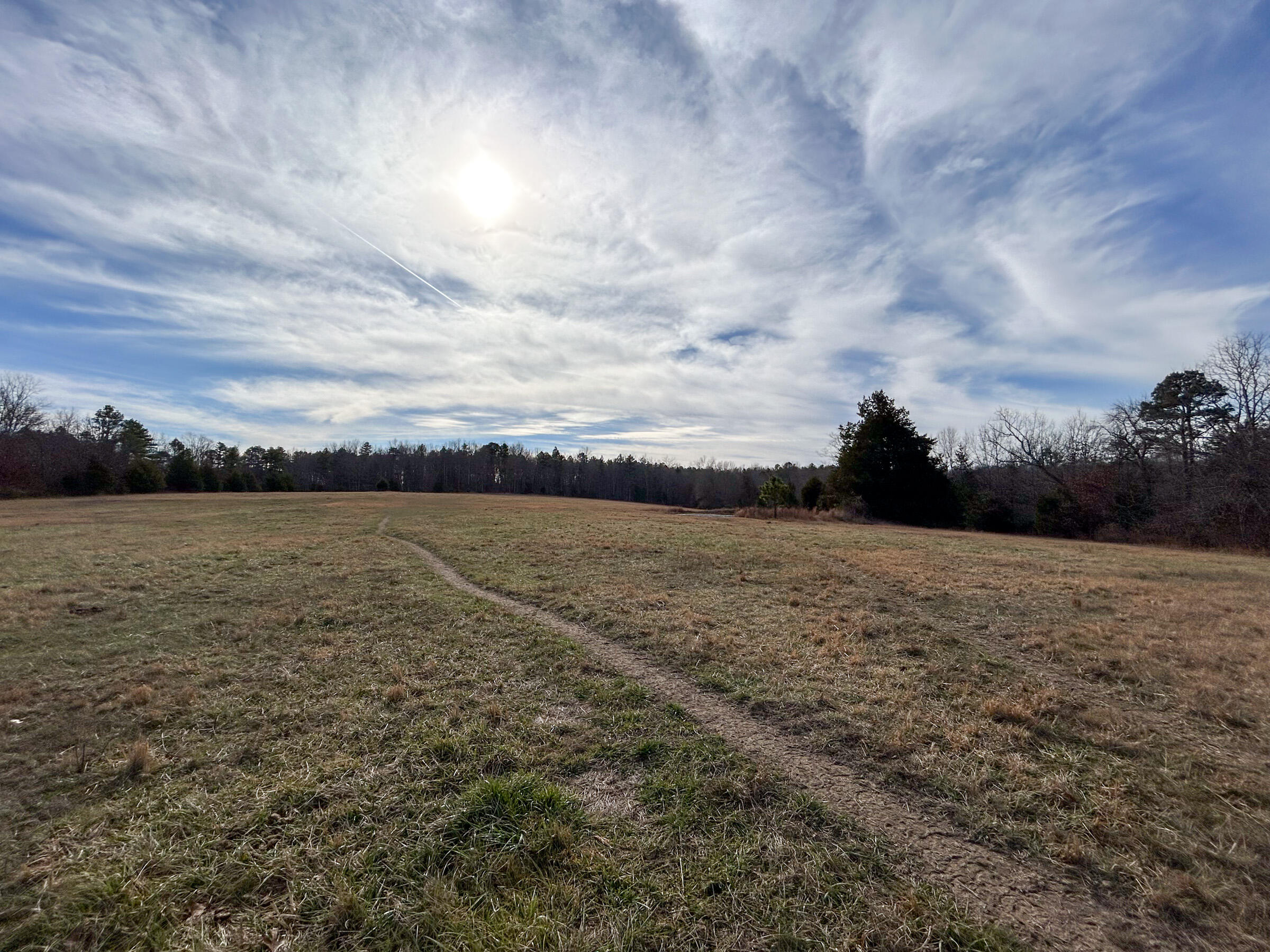 Photo 34 - Farm for sale – 8969  County Road 445   Winona, MO