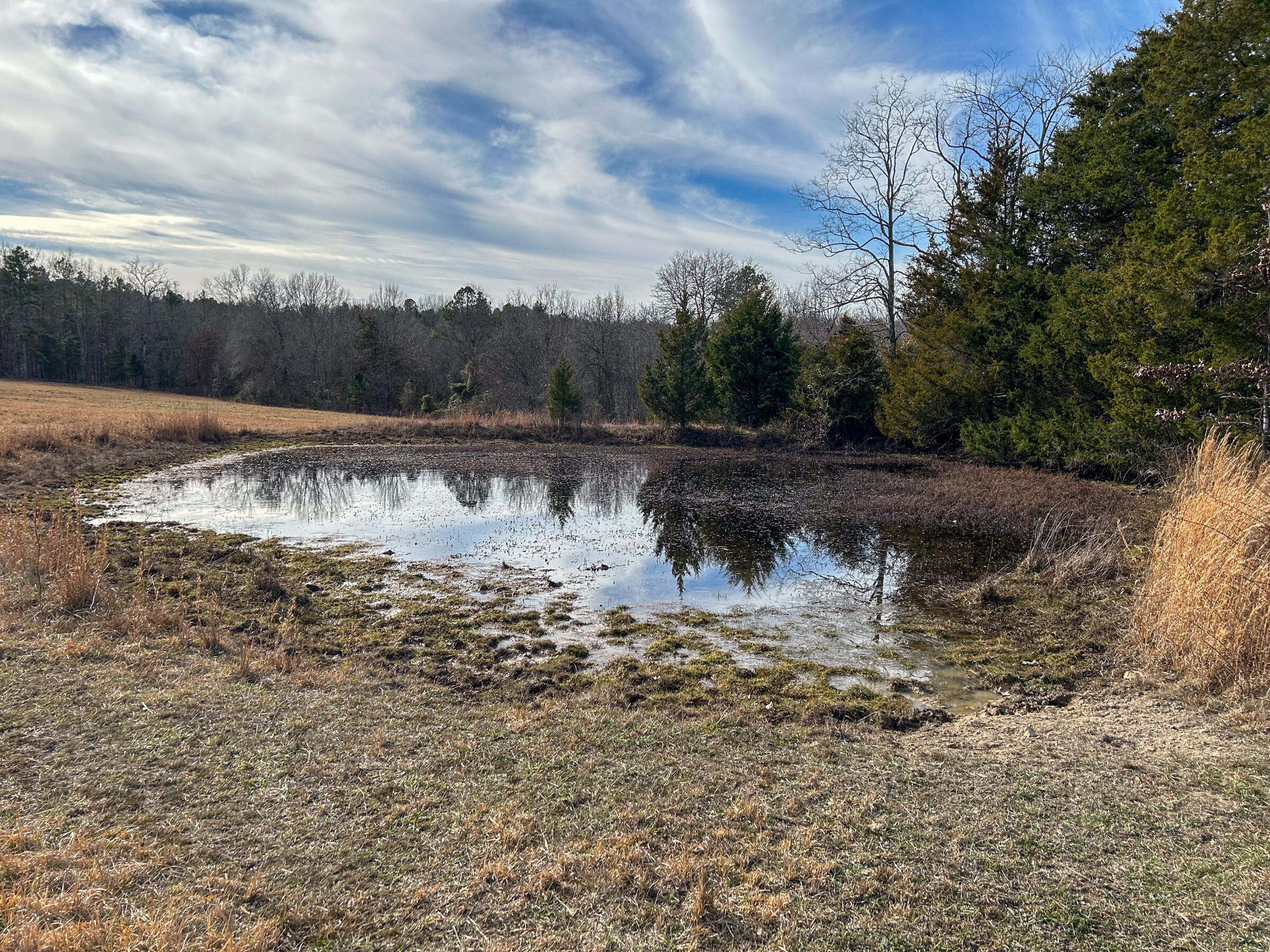 Photo 36 - Farm for sale – 8969  County Road 445   Winona, MO