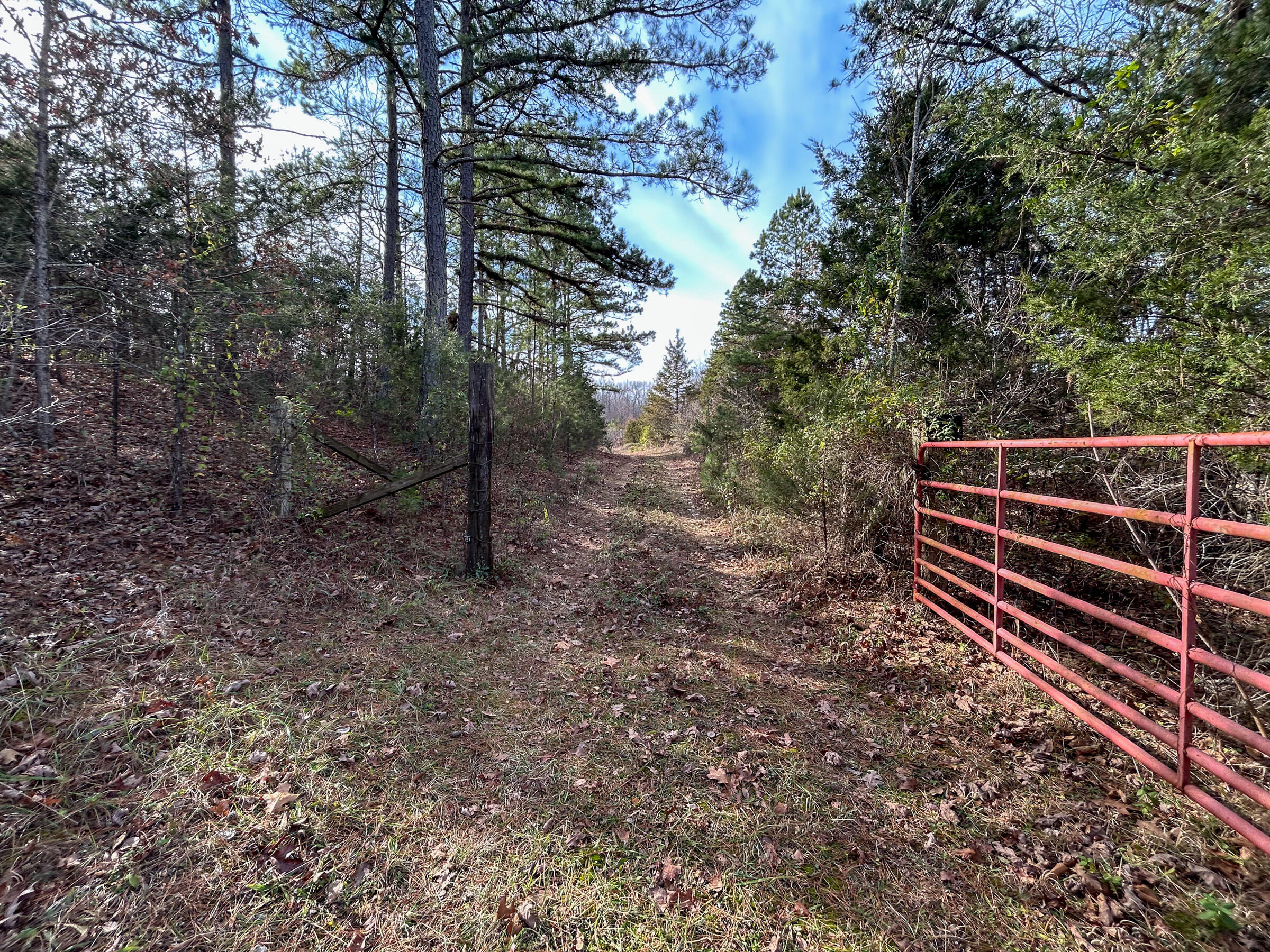 Photo 35 - Farm for sale – 8969  County Road 445   Winona, MO