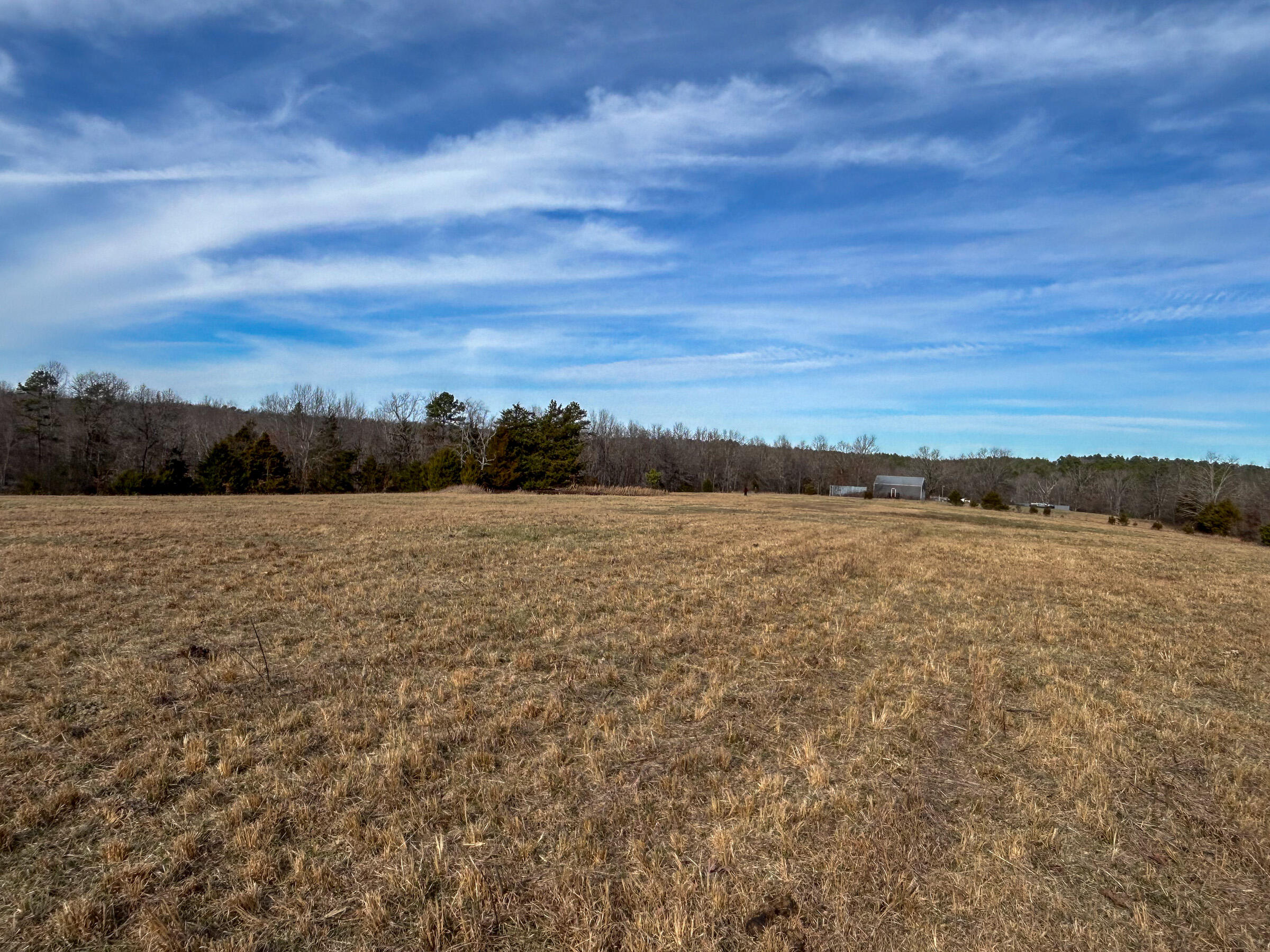 Photo 40 - Farm for sale – 8969  County Road 445   Winona, MO