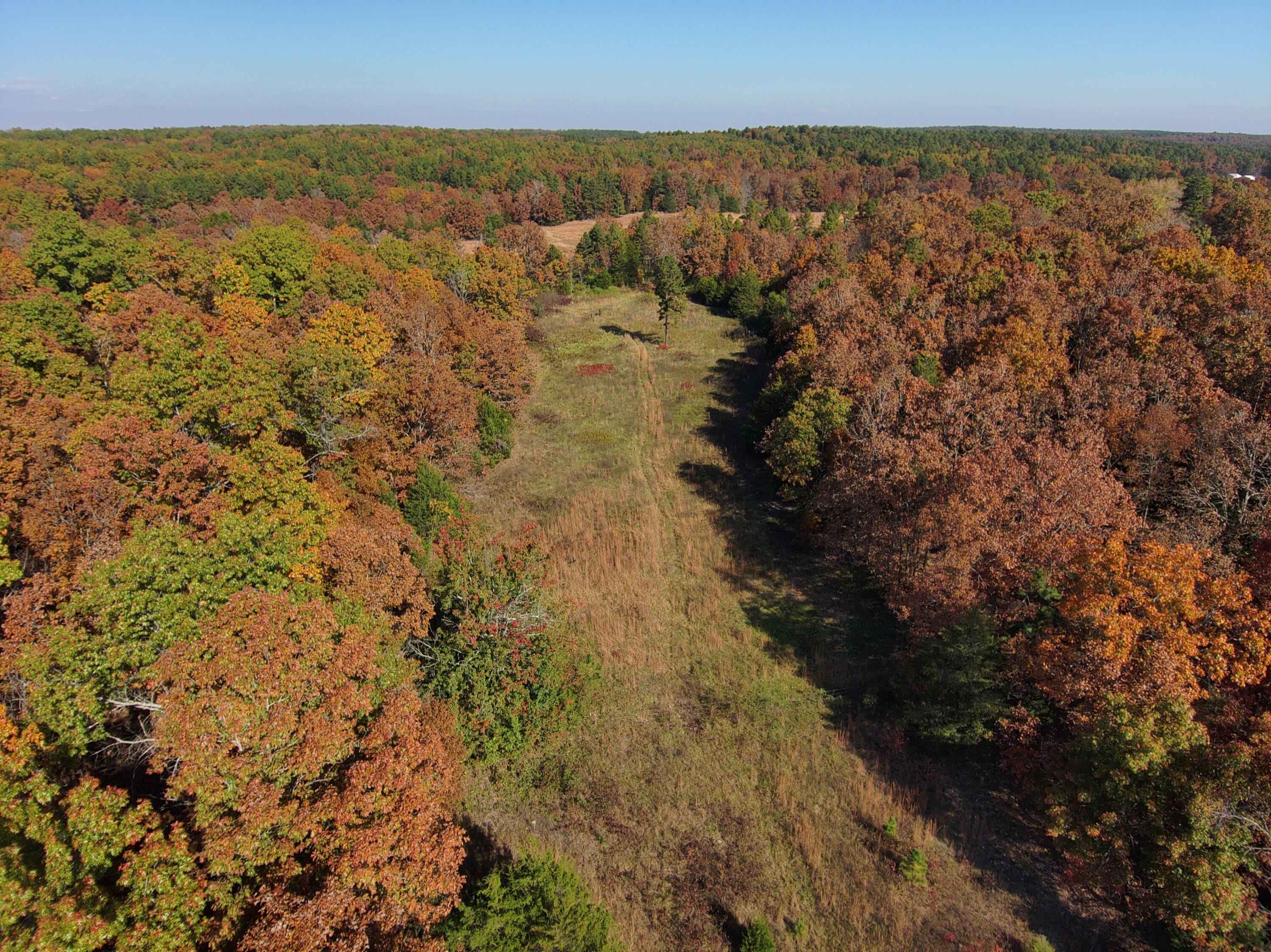 Photo 55 - Farm for sale – 8969  County Road 445   Winona, MO