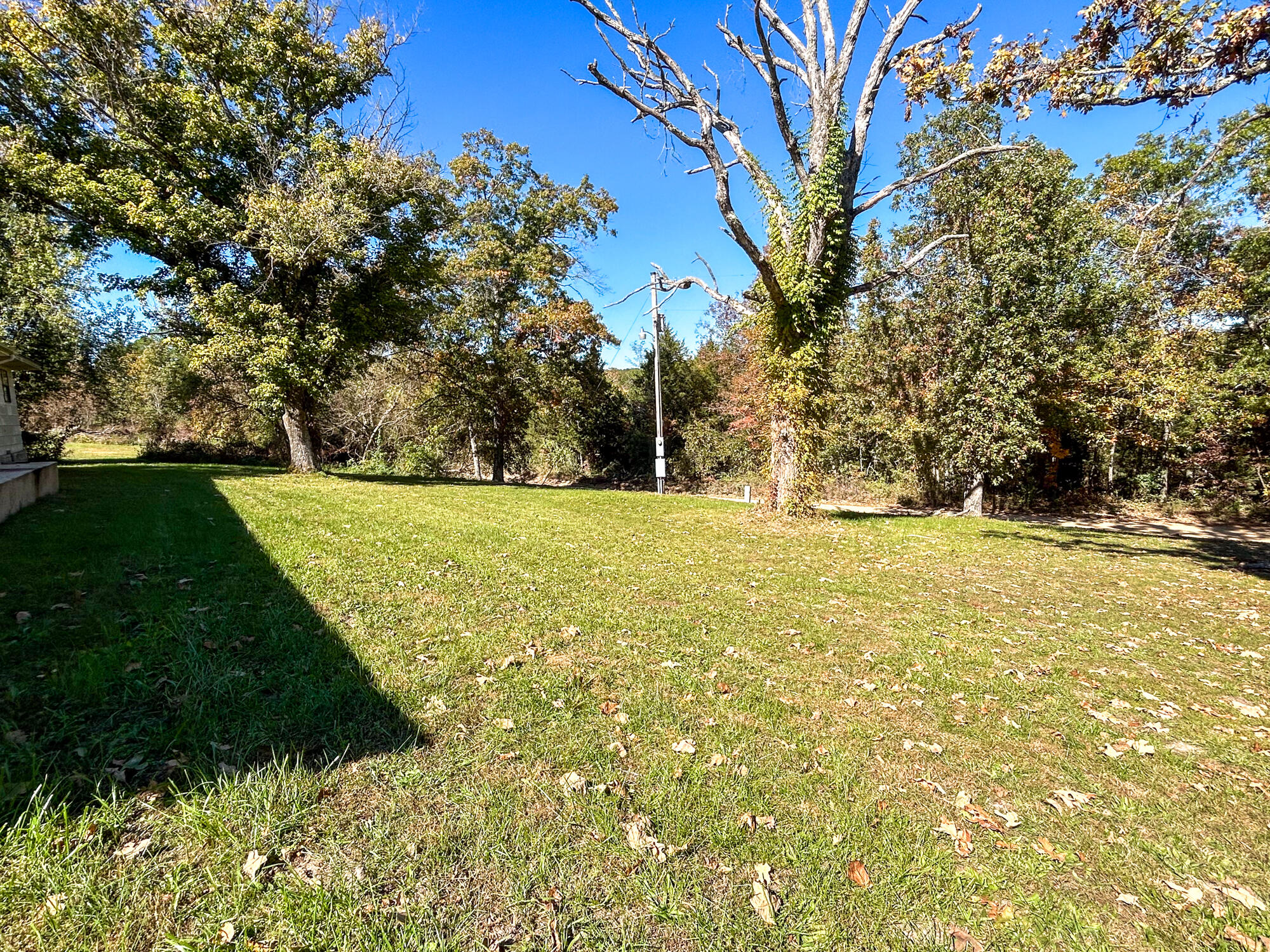 Photo 49 - Farm for sale – 8969  County Road 445   Winona, MO