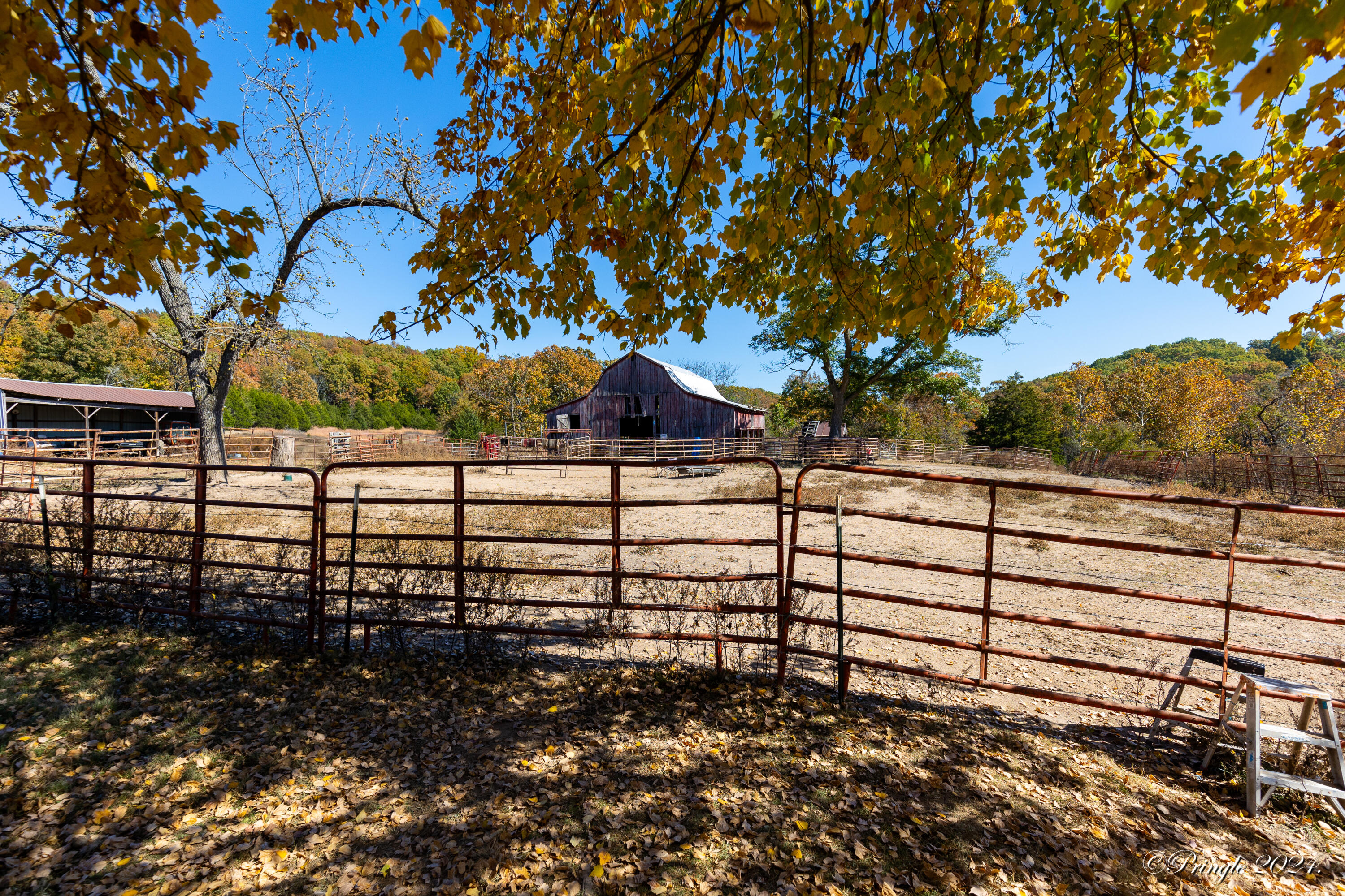 Photo 32 - Farm for sale – 35164  County Road W-268   Dora, MO